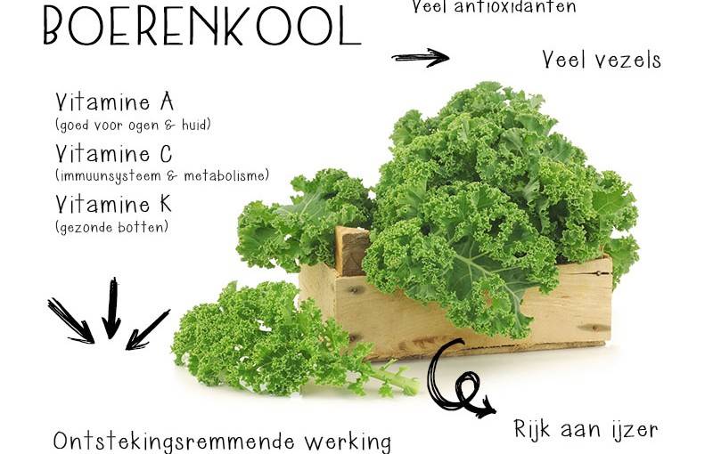 boerenkool feitjes en weetjes