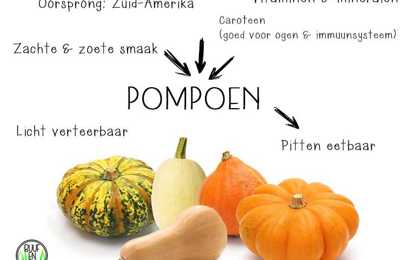 pompoen weetjes
